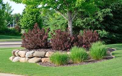 Western Exterminator, formerly Pratt Pest provides tree and shrub care in Snohomish WA, Everett WA, and Mount Vernon WA.