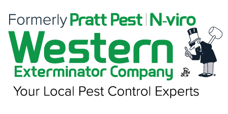 Formerly Pratt Pest, N-viro, a Western Exterminator Company: Your local pest control experts
