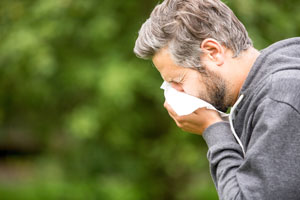 Pests pay cause allergies in Marysville WA - Western Exterminator, formerly Pratt Pest